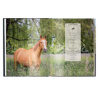 Equestrian - The Ultimate Book