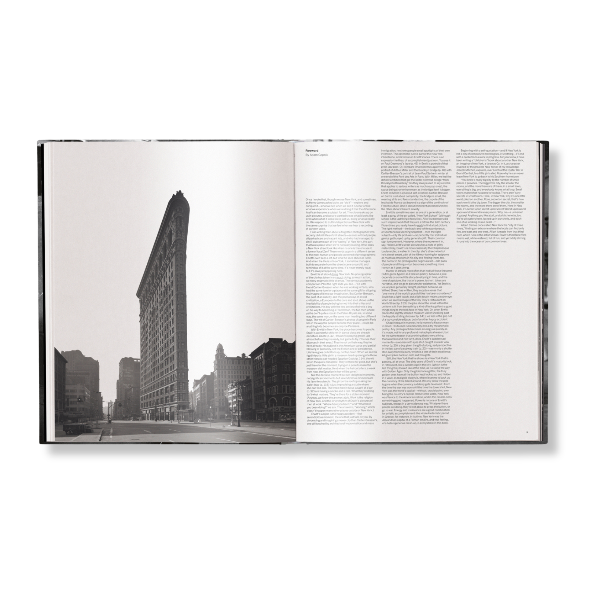 Elliott Erwitt's New York