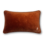 Full Send Needlepoint Pillow