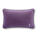 Fun in Dysfunctional Needlepoint Pillow