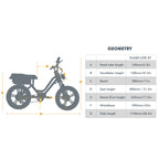 FLASH LITE  ST 1.0