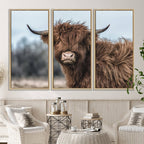 Fluffy Highland Cow Wall Art Canvas Print