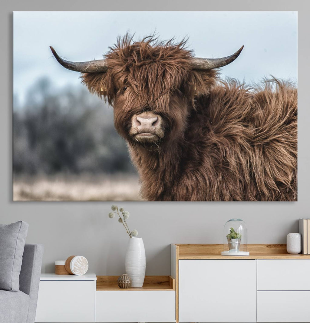 Fluffy Highland Cow Wall Art Canvas Print