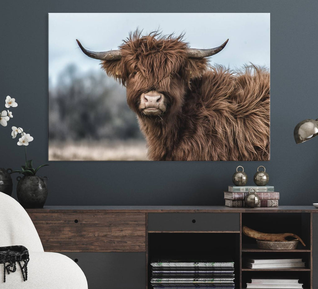 Fluffy Highland Cow Wall Art Canvas Print