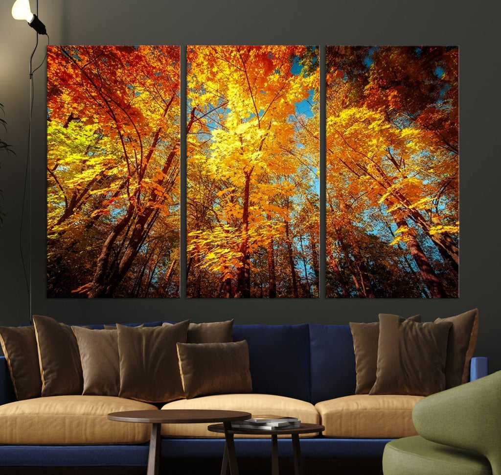 Forest View at Fall Wall Art Autumn Colors Landscape Canvas Print