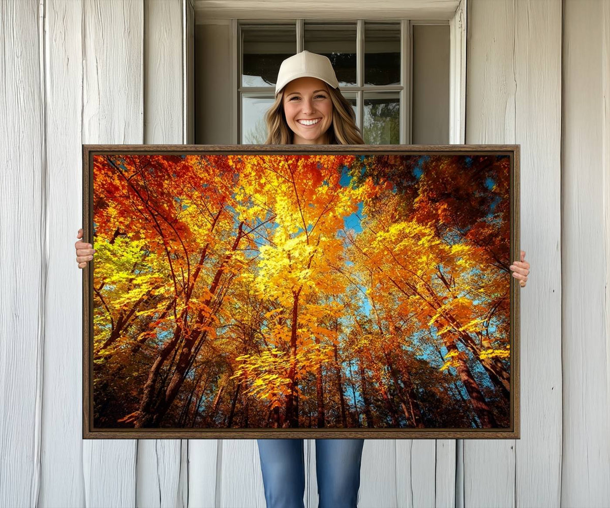 Forest View at Fall Wall Art Autumn Colors Landscape Canvas Print