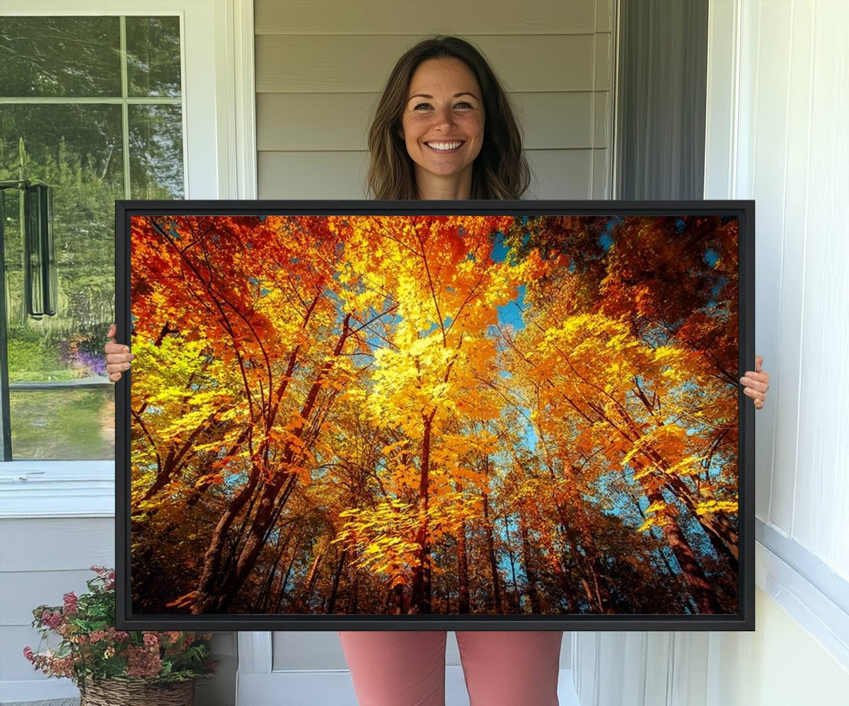 Forest View at Fall Wall Art Autumn Colors Landscape Canvas Print