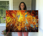 Forest View at Fall Wall Art Autumn Colors Landscape Canvas Print