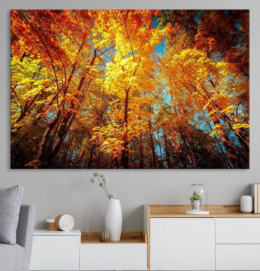 Forest View at Fall Wall Art Autumn Colors Landscape Canvas Print