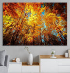 Forest View at Fall Wall Art Autumn Colors Landscape Canvas Print