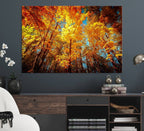 Forest View at Fall Wall Art Autumn Colors Landscape Canvas Print