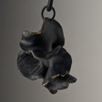 Fucalophrys