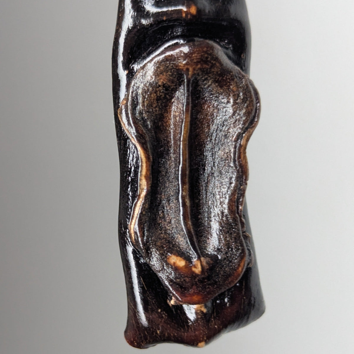 Fucyra