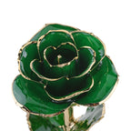 Timeless Rose (Green)