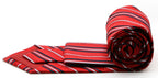 Premium Ziggy Striped Ties