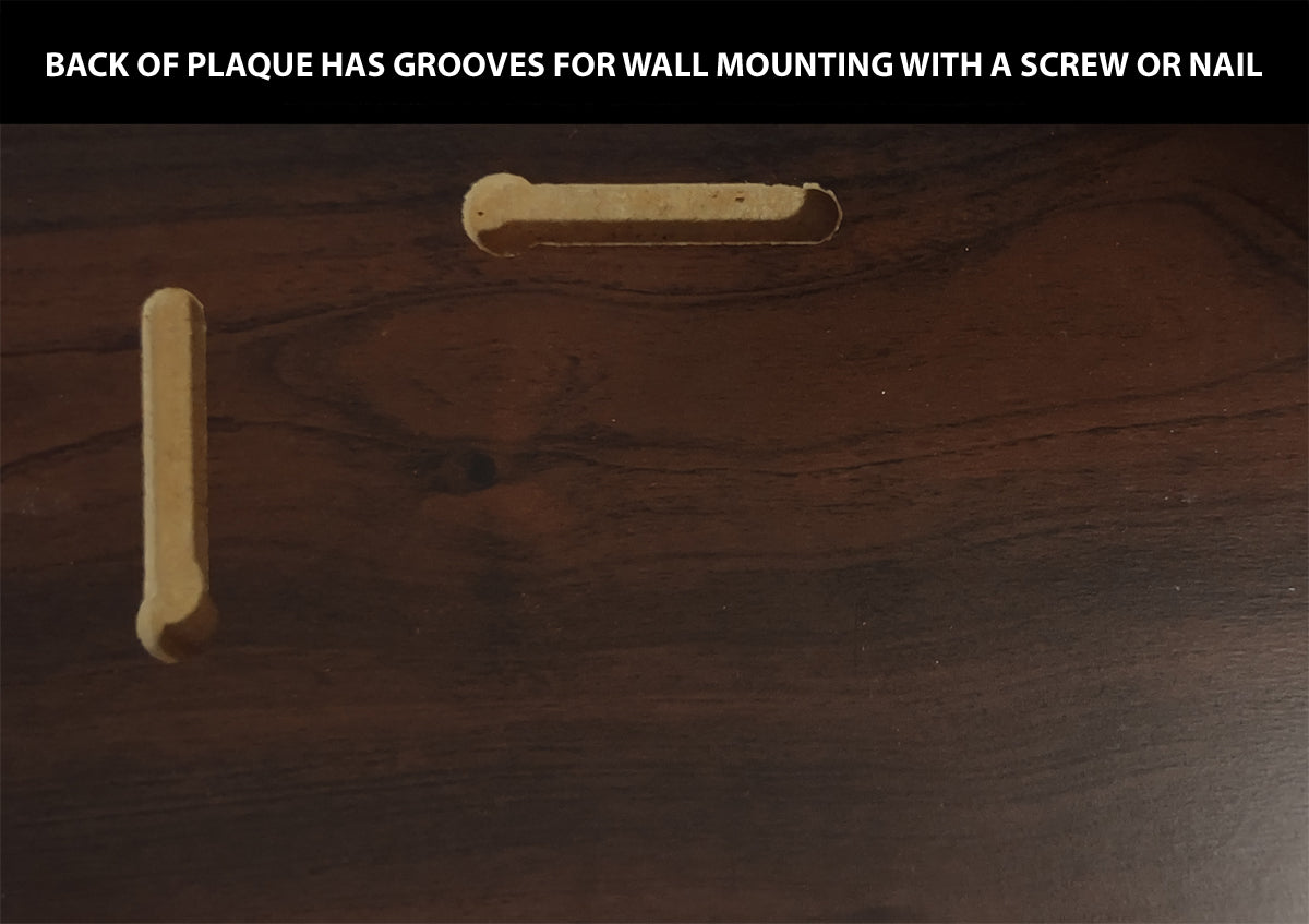 Luka Doncic Dallas Mavericks 2025 2024 Donruss Score Prizm Topps 4x6 Gift Plaque