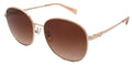 Coach Sunglasses HC7189-900574-55-17-140 Non-Polarized