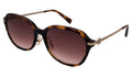 Coach Sunglasses HC8332D-512013-56-17-145 Non-Polarized