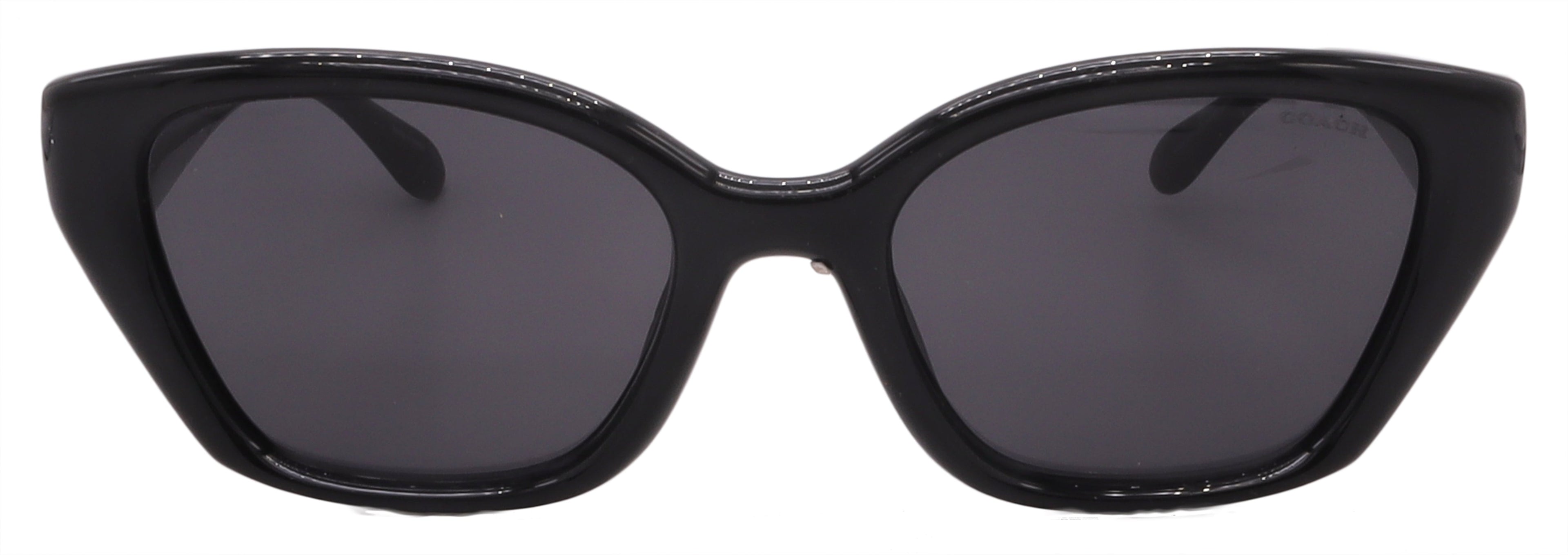 Coach Sunglasses HC8434U-500287-53-19-140 Non-Polarized