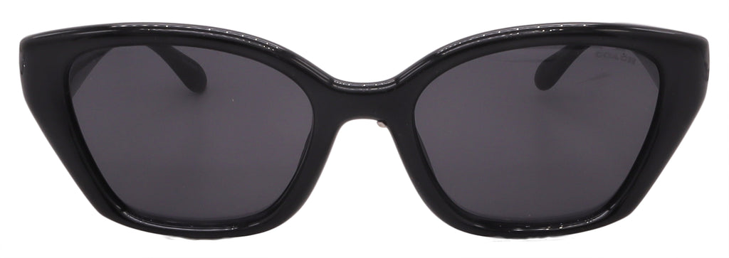 Coach Sunglasses HC8434U-500287-53-19-140 Non-Polarized