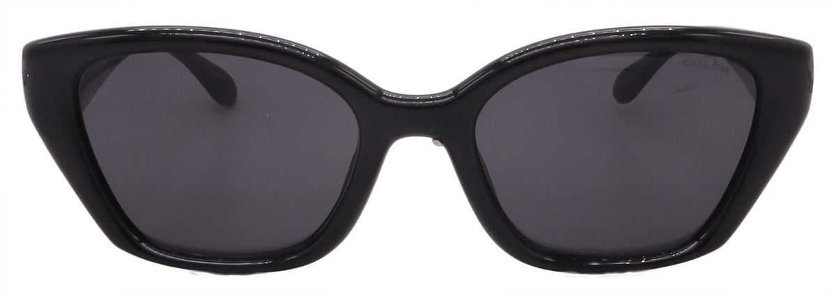 Coach Sunglasses HC8434U-500287-53-19-140 Non-Polarized