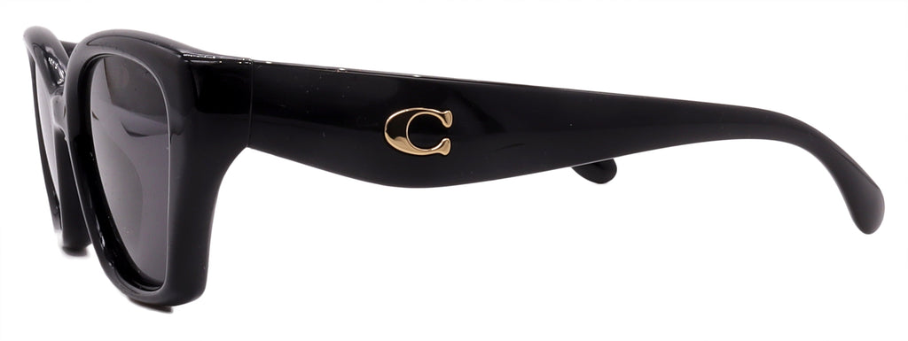 Coach Sunglasses HC8434U-500287-53-19-140 Non-Polarized