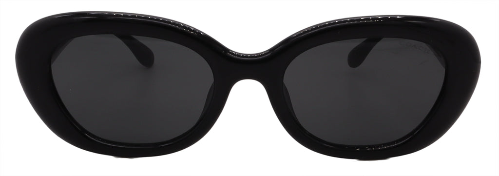 Coach Sunglasses HC8448U-500287-54-20-145 Non-Polarized