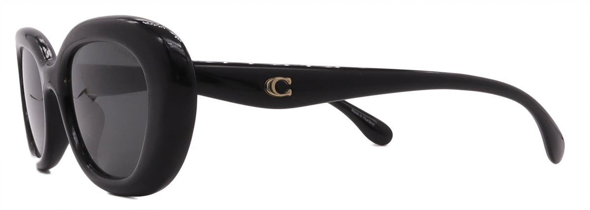 Coach Sunglasses HC8448U-500287-54-20-145 Non-Polarized