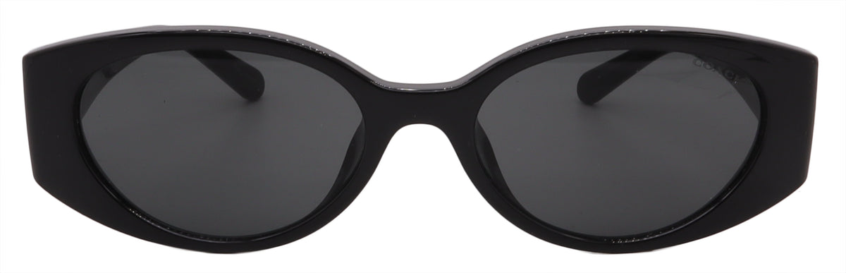 Coach Sunglasses HC8462U-500287-54-18-140 Non-Polarized