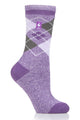 Purple/Grey