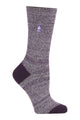 Purple/Cream