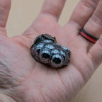 Botryoidal Hematite - Polished Handheld Specimens