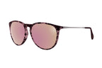 Hurricane - Pink Tortoise Shell - Rose Gold Polarized