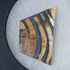 Genuine Woolly Mammoth Tusk in Display Box