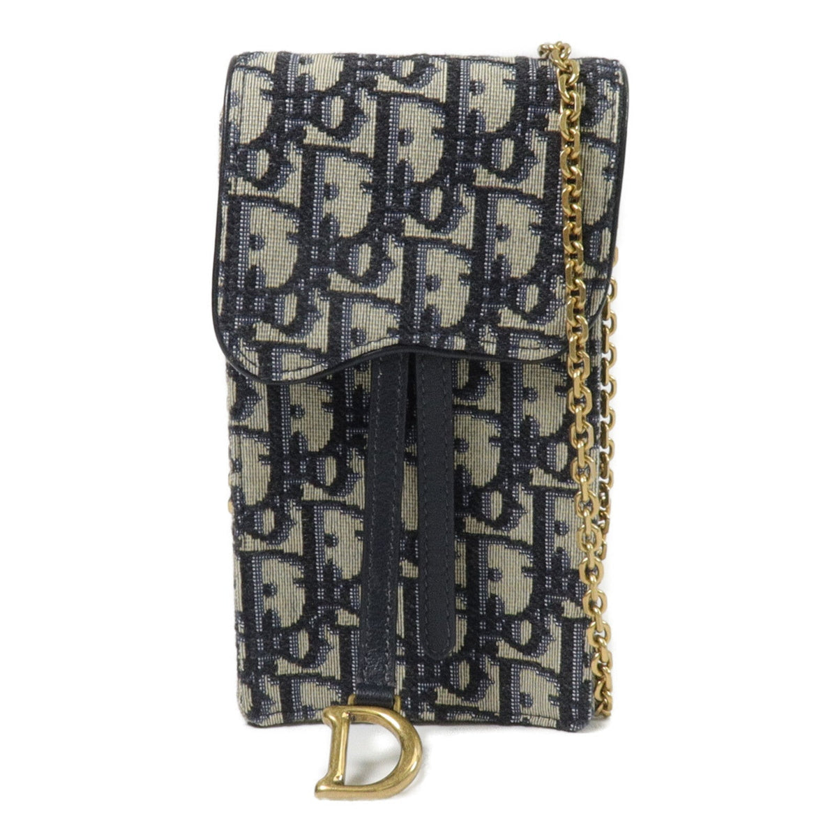 Dior Saddle · Chain Crossbody · Canvas
