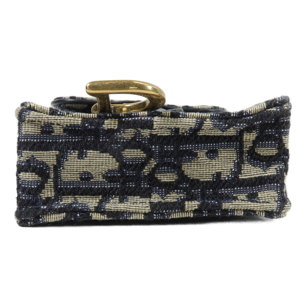 Dior Saddle · Chain Crossbody · Canvas