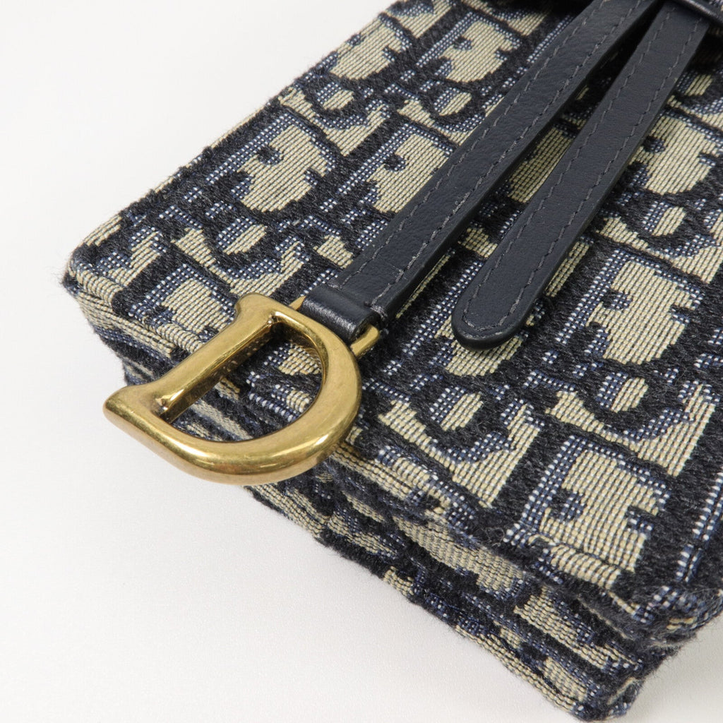 Dior Saddle · Chain Crossbody · Canvas