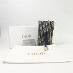 Dior Saddle · Chain Crossbody · Canvas