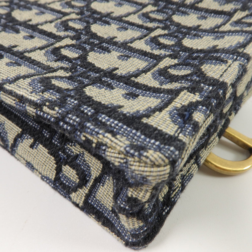 Dior Saddle · Chain Crossbody · Canvas
