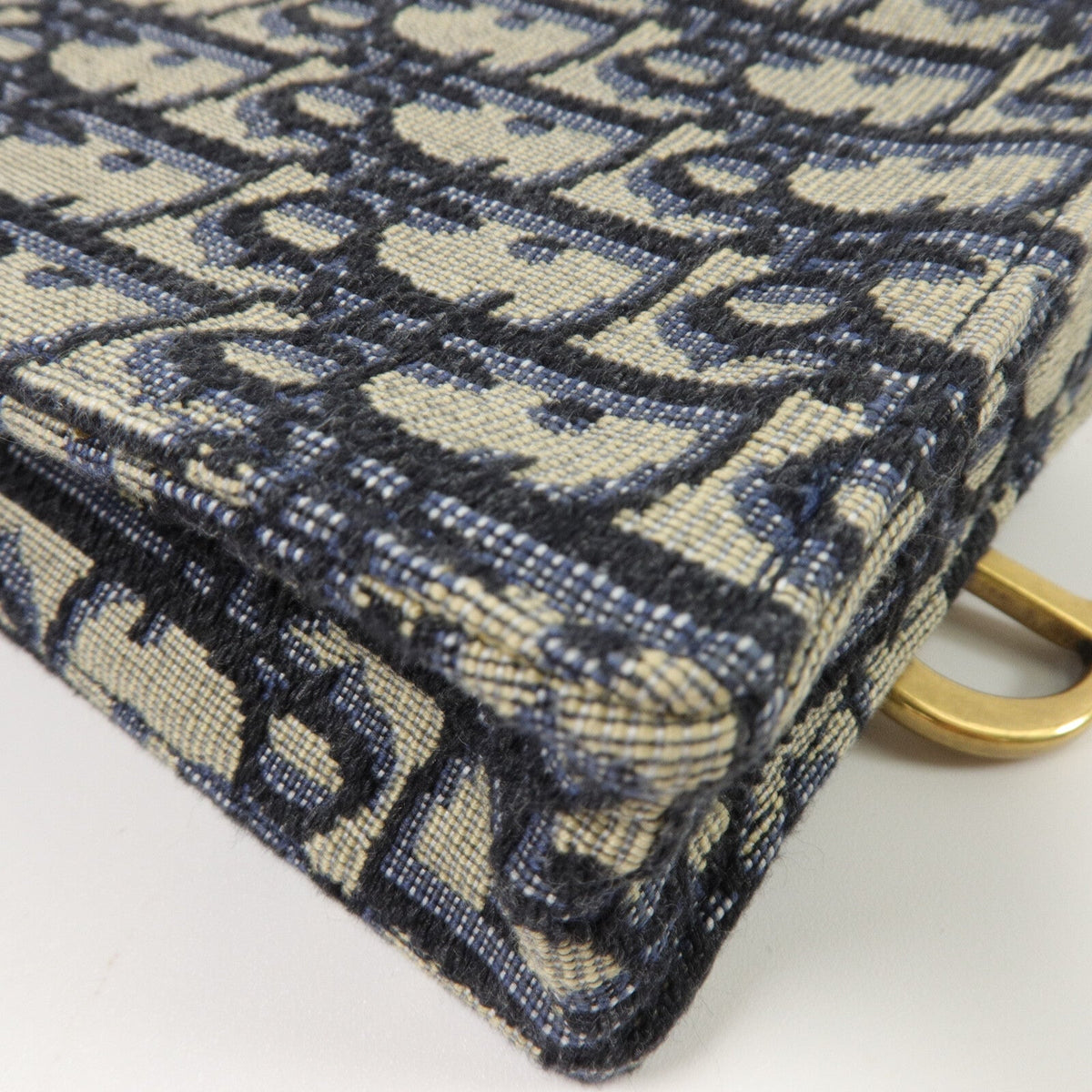 Dior Saddle · Chain Crossbody · Canvas