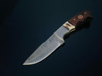DAMASCUS STEEL FIXED BLADE KNIFE WITH WALNUT & STAG HORN HANDLE HUNTING KNIFE MINI TD-159X