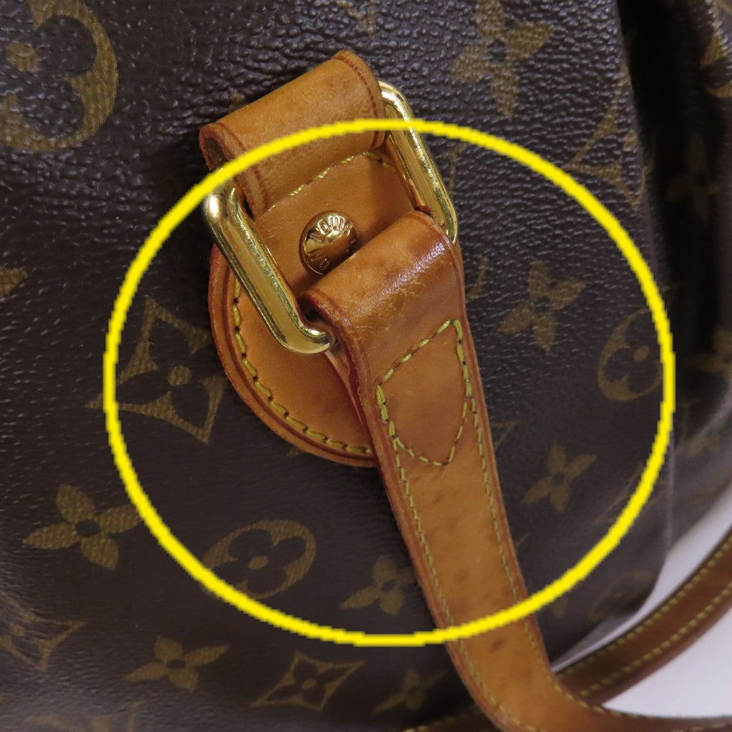 Louis Vuitton Palermo PM · Monogram Canvas