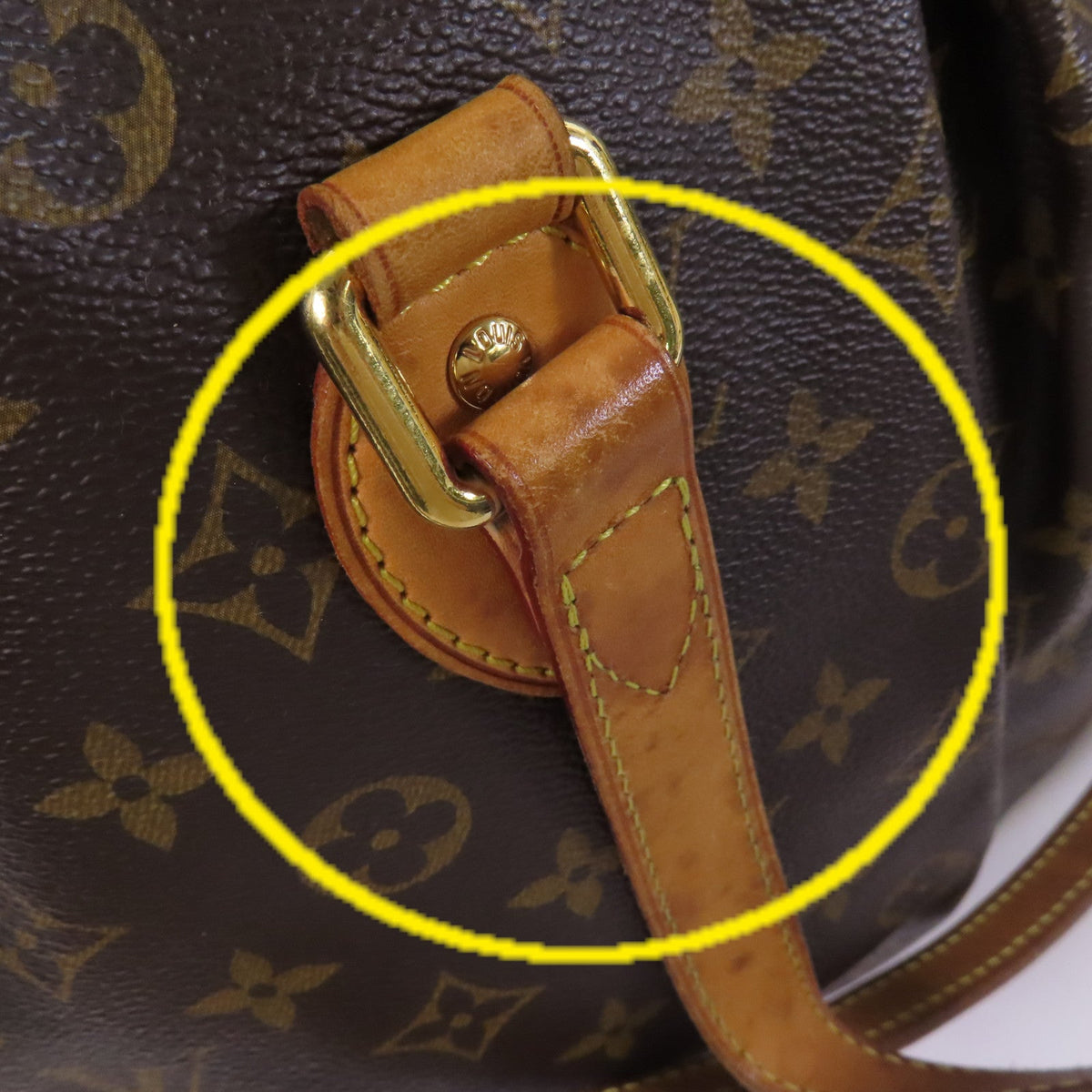 Louis Vuitton Palermo PM · Monogram Canvas