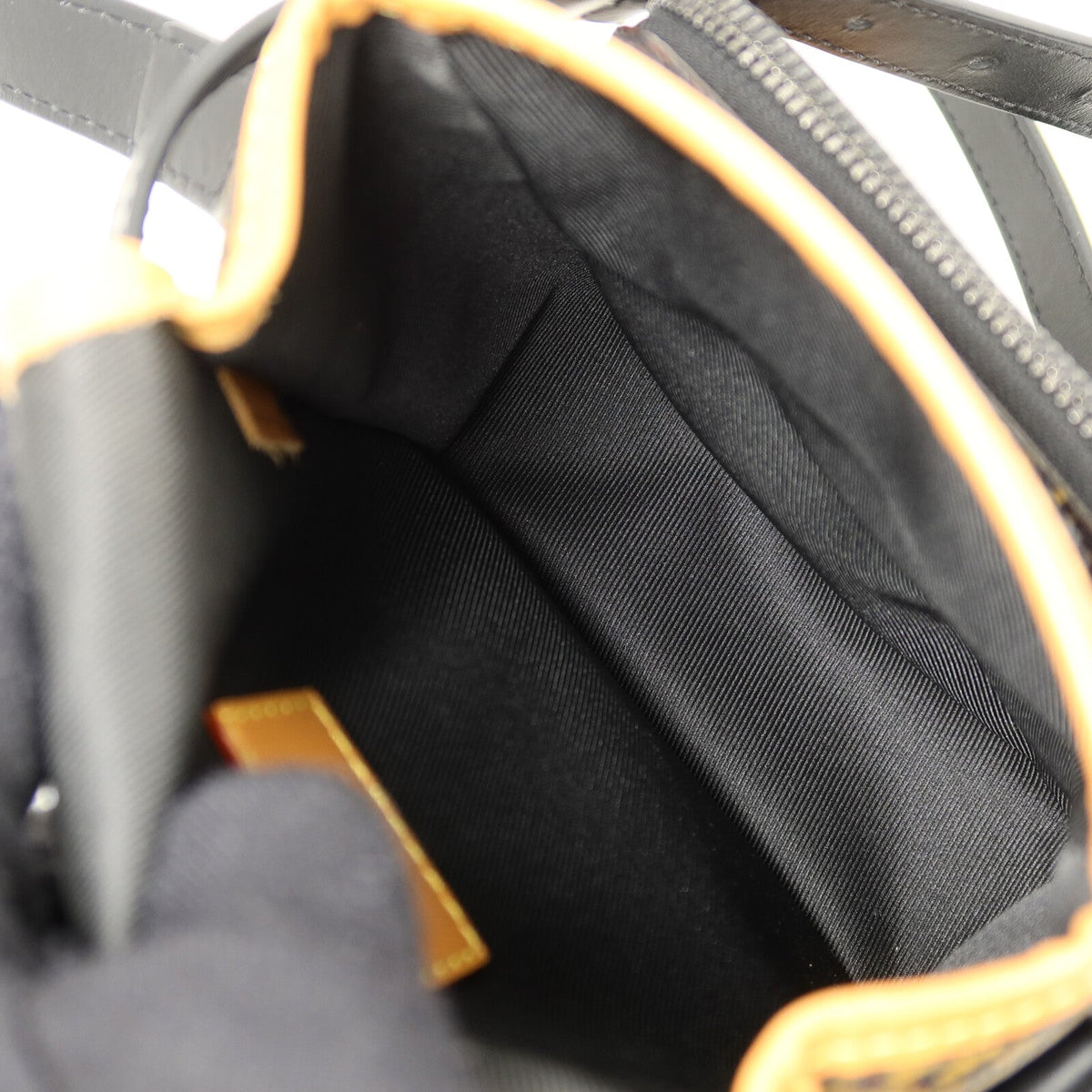 Louis Vuitton × NIGO · Damier Giant
