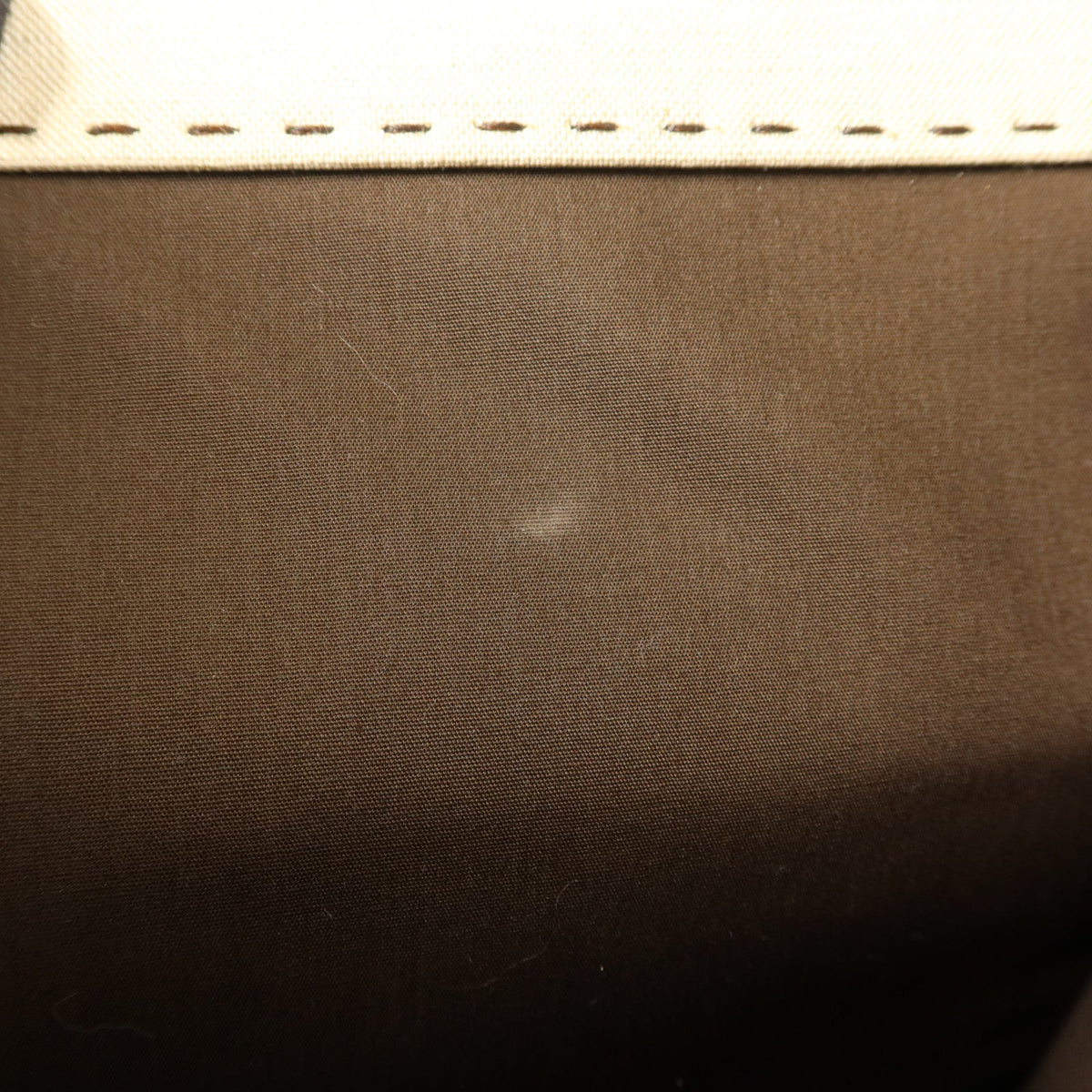 Fendi Sunshine Medium · Canvas Tote
