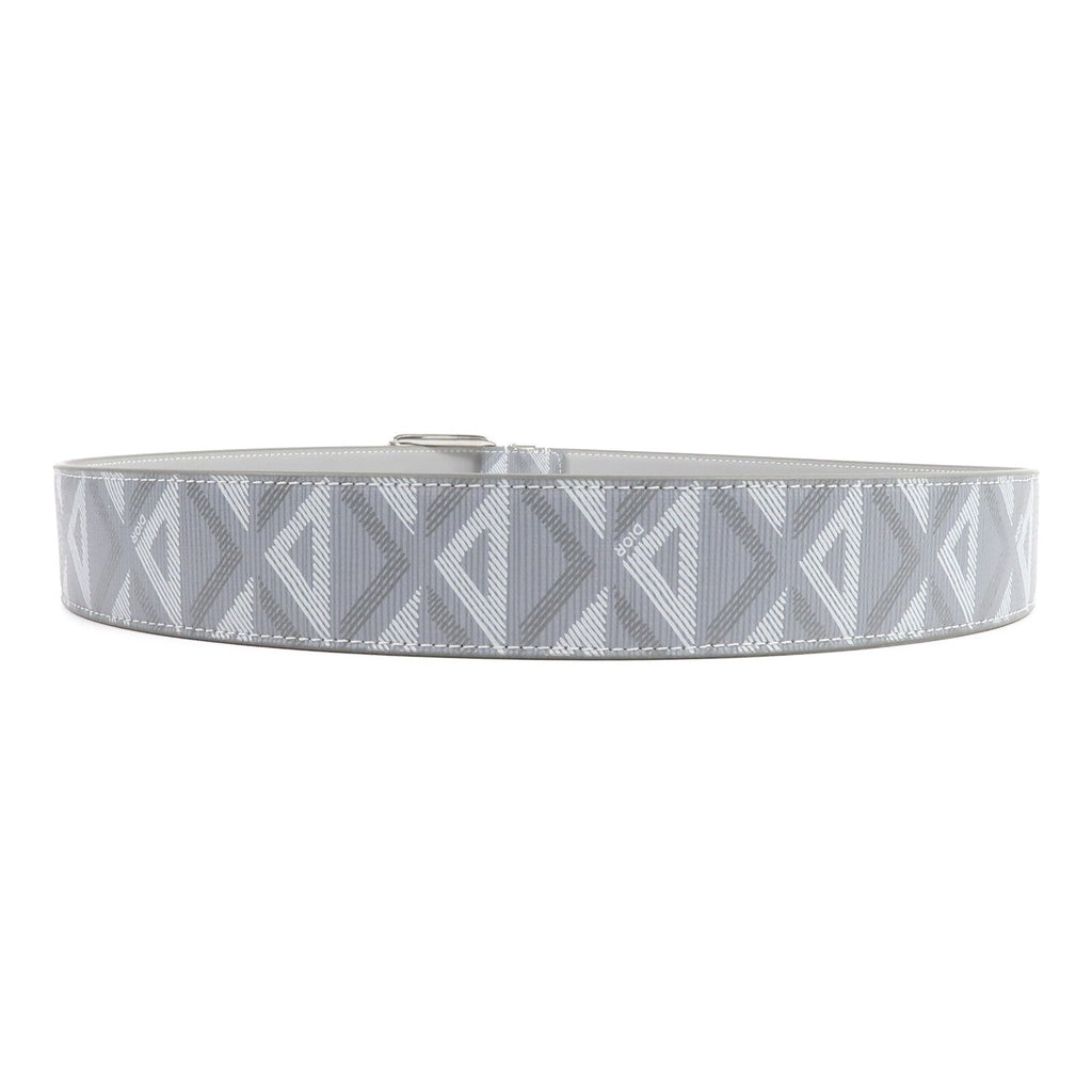 Dior Belt · Calfskin