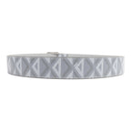 Dior Belt · Calfskin