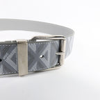 Dior Belt · Calfskin