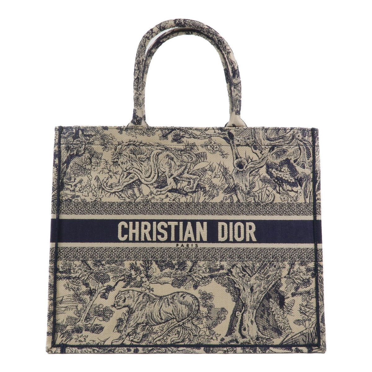 Dior Book Tote · Oblique Canvas