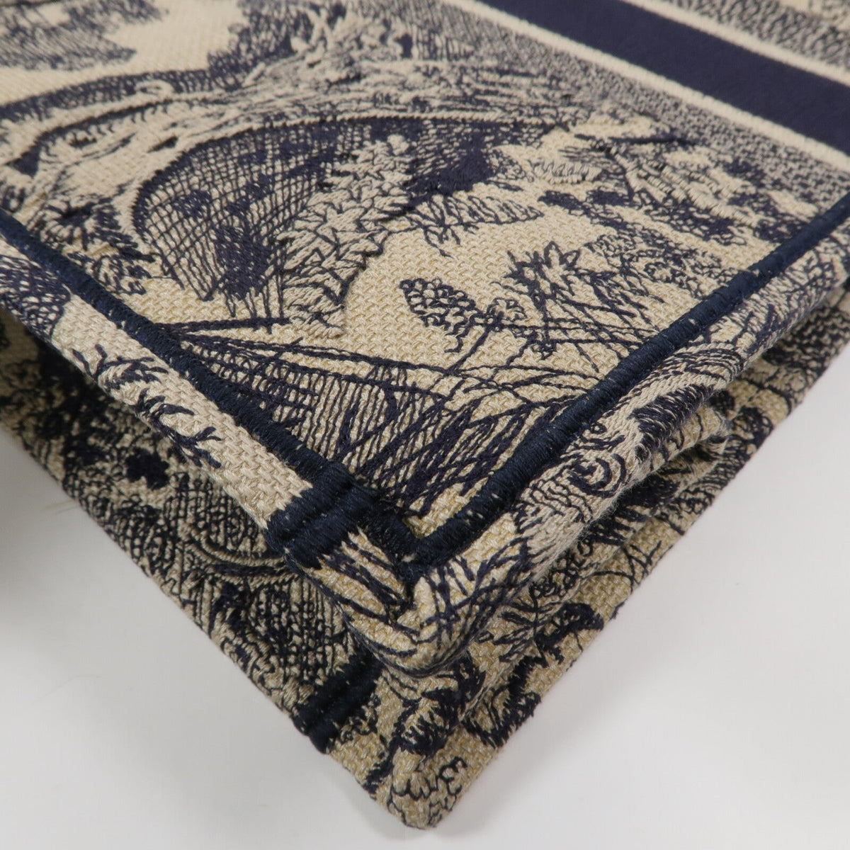 Dior Book Tote · Oblique Canvas